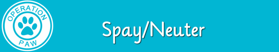 Low Cost Spay Neuter Clinics Operation Paw